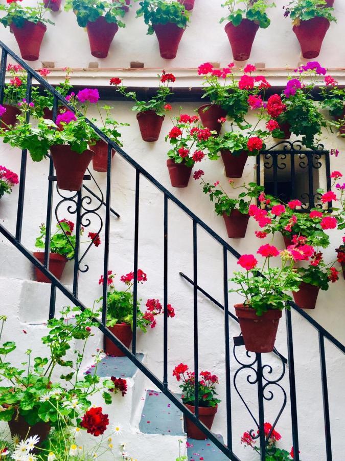 Ribera Del Quivir Apartment Córdoba Exterior foto